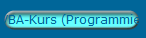 VBA-Kurs (Programmieren in Office)